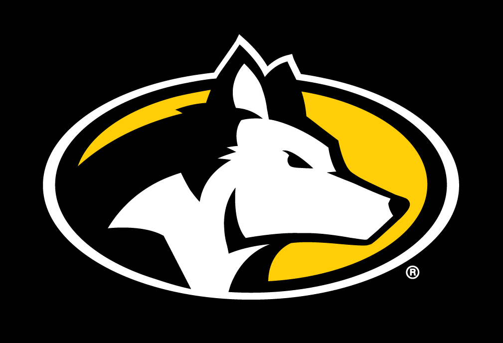 Michigan Tech Huskies 2016-Pres Partial Logo v2 t shirts iron on transfers